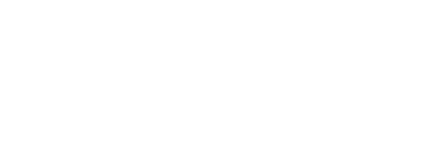 ZTE Logo